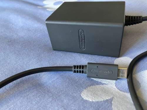 Nintendo Switch Lite Charger