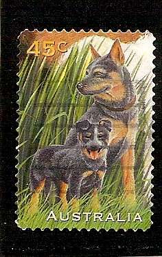 1996 45c Blue Heeler Dogs