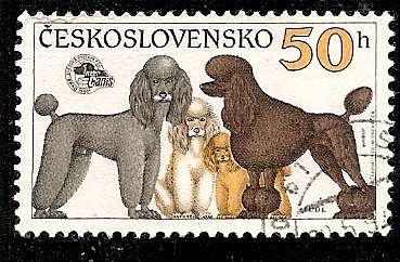 Czechoslovakia 1990 50h Poodles