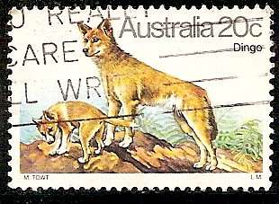 1980 20c Dingo
