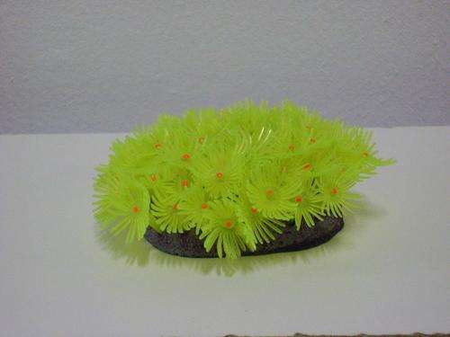 Real Aquarium Cluster Daisy Red & Yellow