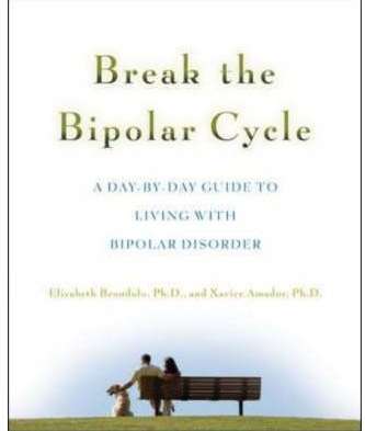Break the Bipolar Cycle: A Day to Day Guide to Living with Bipolar Disorder