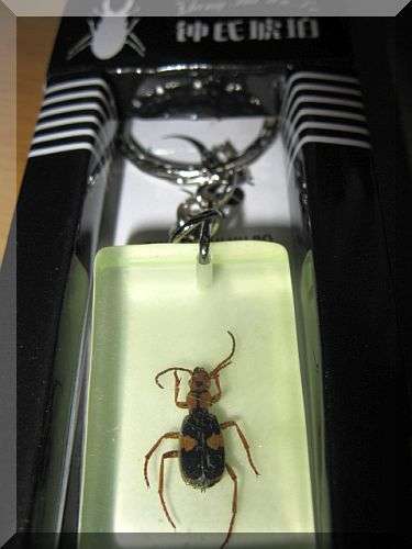 AMBER CRAFT KEY RING HOLDER