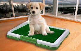 Puppy Potty Patch