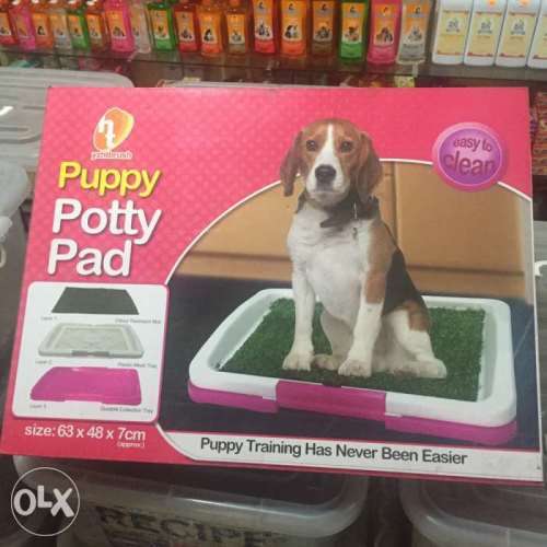 Puppy Potty Patch