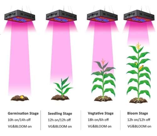 1200W LED Grow Light | Veg and Bloom Setting (Real Draw 180W) - Last Few Left !