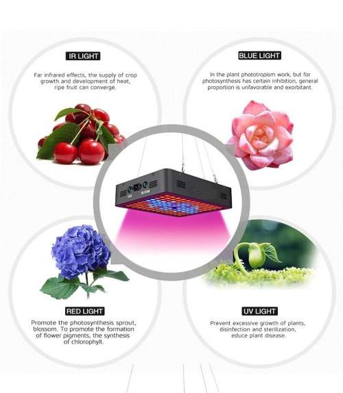 1200W LED Grow Light | Veg and Bloom Setting (Real Draw 180W) - Last Few Left !