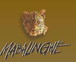 PERFECT FOR VALENTINE'S /HONEYMOON / ANNIVERSARY IN FEBRUARY @ MABALINGWE 13 FEB-17 FEB 2017