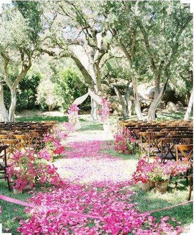 1 000  BLUSHING DEEP PASTEL PINK  SILK  ROSE PETALS - USE FOR CONFETTI /TABLE DECOR/BABY SHOWER