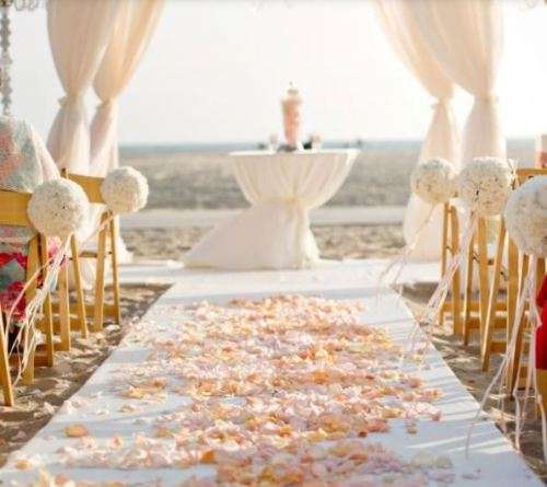 1000 CHAMPAGNE SILK ROSE PETALS USE FOR CONFETTI/AISLE DECOR/PHOTO PROP/TABLE DECOR/ROMANTIC SETTING