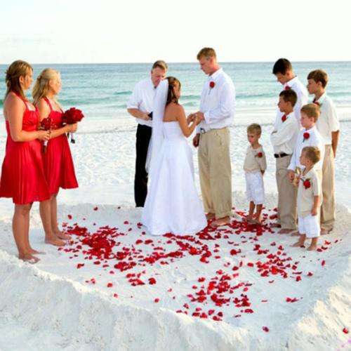 1000  RED SILK  ROSE PETALS - USE FOR PHOTO PROP/TABLE DECOR/ROMANTIC SETTING