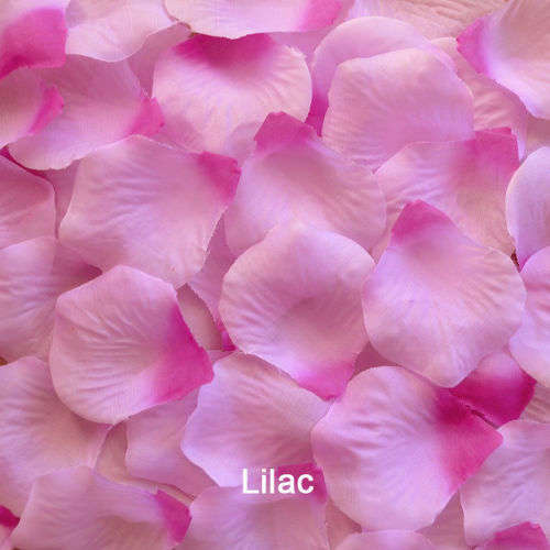 1 000 SOFT OMBRE LILAC PURPLE SILK ROSE PETALS - USE FOR CONFETTI/AISLE DECOR/PHOTO PROP/TABLE DECOR
