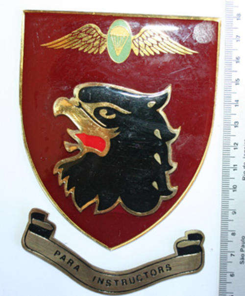 Parachute Battalion Instructor