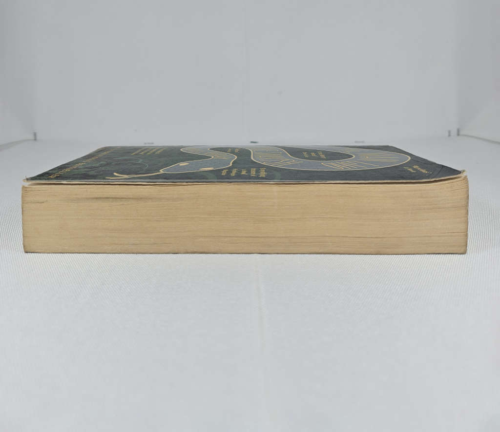 The Man Who Spoke Snakish by Andruk Kivirahk - Paperback