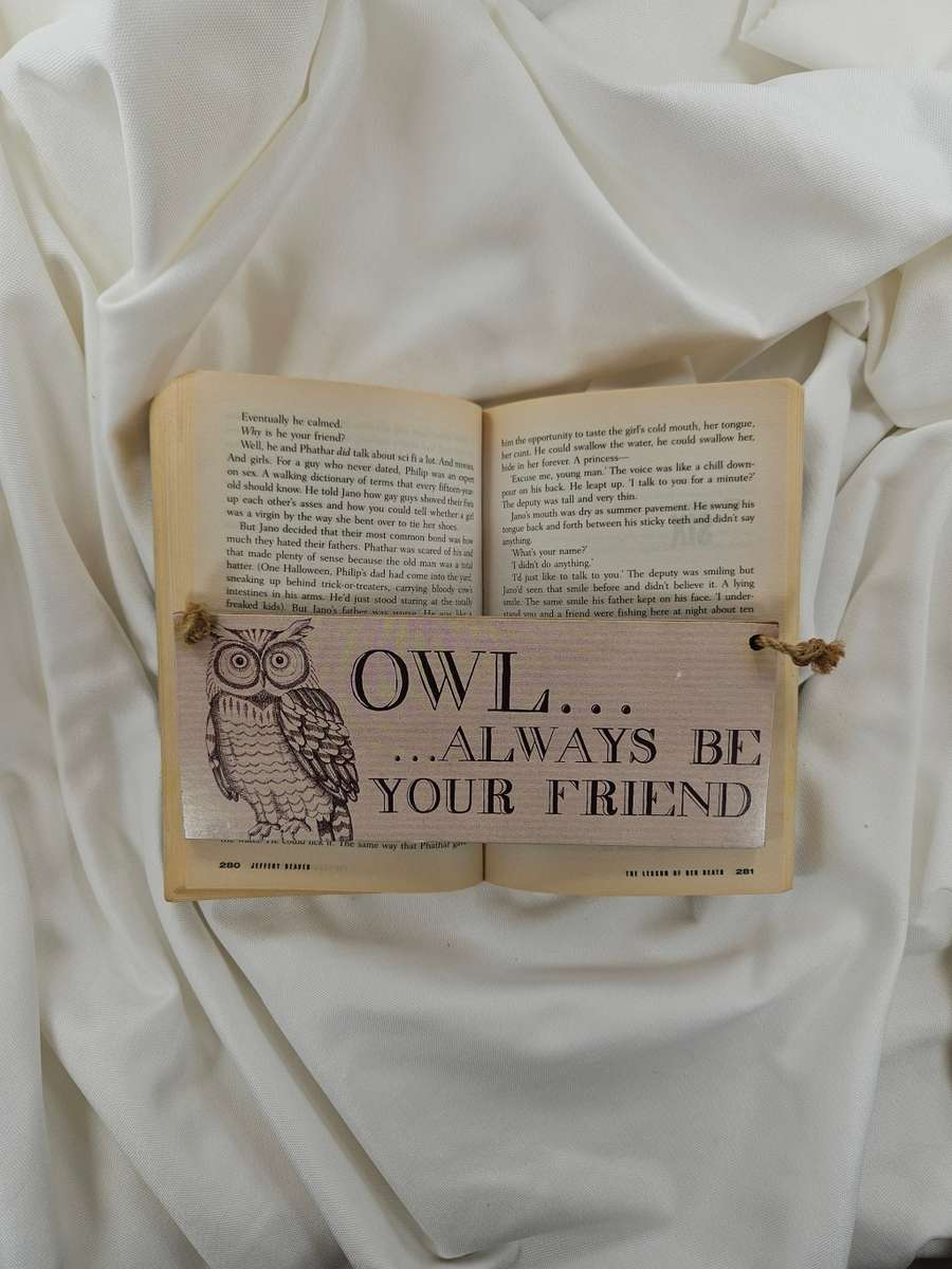 The Lesson of Her Death by Jeffery Deaver - Paperback