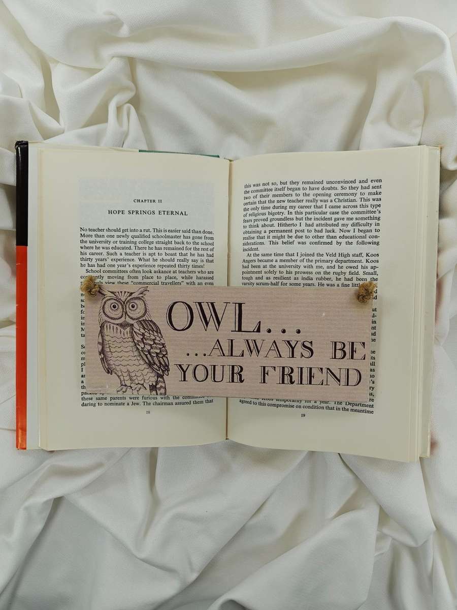 A Blackboard Around my Neck by F.C. Metrowich - Hardback