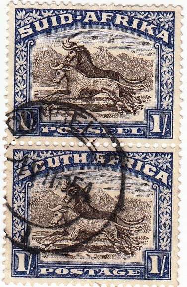 SA POSTMARK 1954: CONGELLA