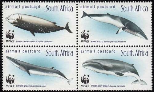 RSA 1998: WHALES OF THE SOUTHERN OCEANS SETENANT BLOCK OF 4 MNH (SACC1172-1175)