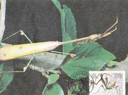 SWA POSTCARD50-53 1987 USEFULL INSECTS - SET OF 4 - UNUSED CTO