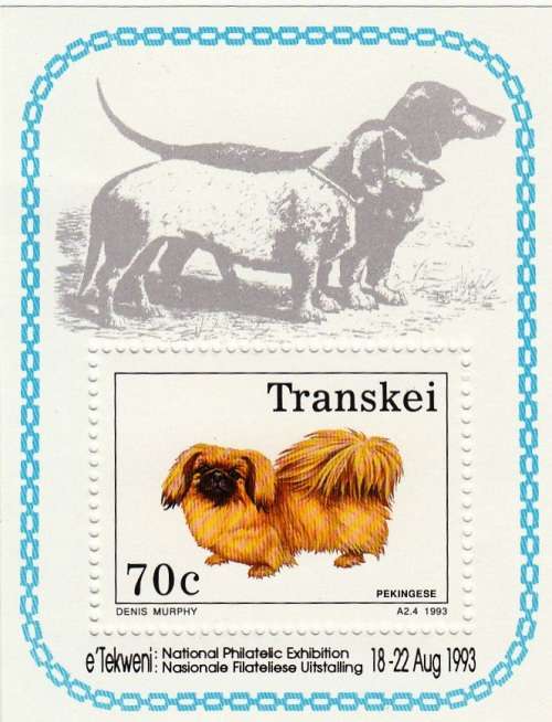 TRANSKEI FOUNDATION MINIATURE SHEET 1993: DOGS MNH (SACC 302a)