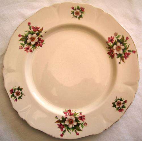 VINTAGE ALFRED MEAKIN `WHARFEDALE` DINNER PLATE - 25 cm