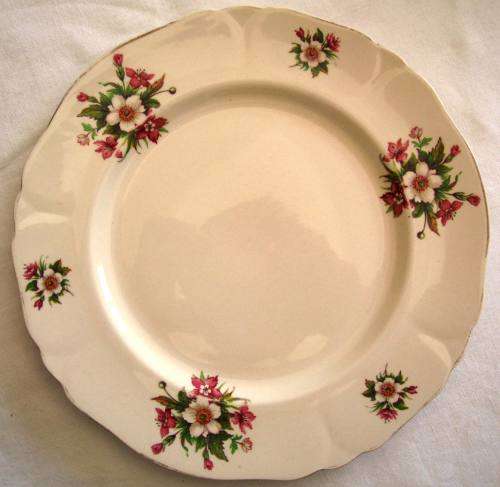VINTAGE ALFRED MEAKIN `WHARFEDALE` DINNER PLATE - 25 cm