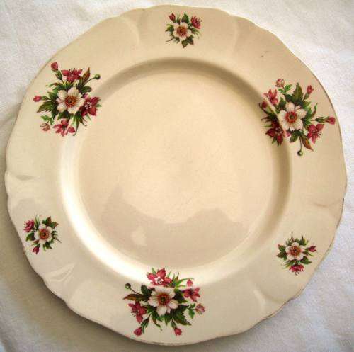 VINTAGE ALFRED MEAKIN `WHARFEDALE` DINNER PLATE - 25 cm