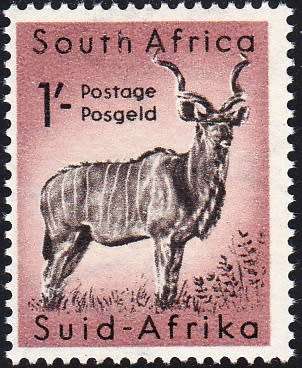 UNION 1954: DEFINITIVE ISSUE 1s KUDU MNH (SACC 158)