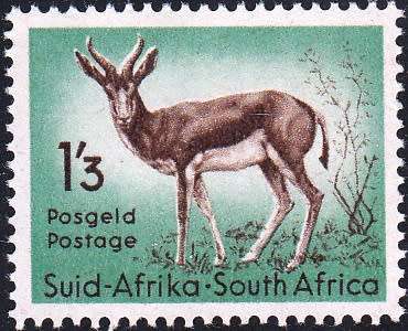 UNION 1954: DEFINITIVE ISSUE 1`3s SPRINGBUCK MNH (SACC 159)