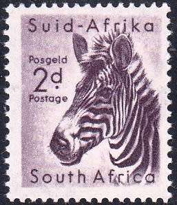 UNION 1954: DEFINITIVE ISSUE 1d MOUNTAIN ZEBRA MNH (SACC 153)