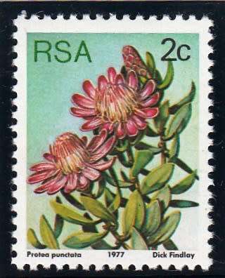 RSA 1977: 3rd DEFINITIVE ISSUE 2c MNH (SACC 419)
