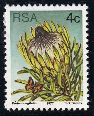 RSA 1977: 3rd DEFINITIVE ISSUE 4c MNH (SACC 421)