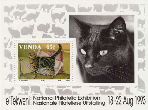 VENDA 1993 FOUNDATION MINIATURE SHEET - DOMESTIC CATS MNH (SACC 251a)