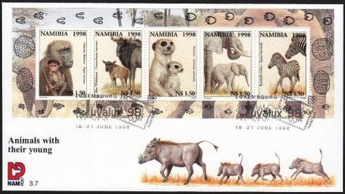 NAMIBIA 1998: FDC 3.7 - WORLD ENVIRONMENT DAY