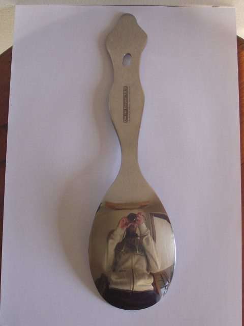 LOVELY LARGE CARROL BOYES SERVING SPOON