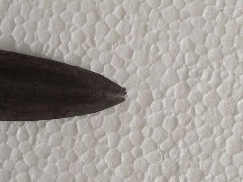 BAYONET  SCABBARD AND FROG