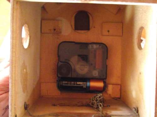 SMALL CUCKOO BODY NO MECHANISM