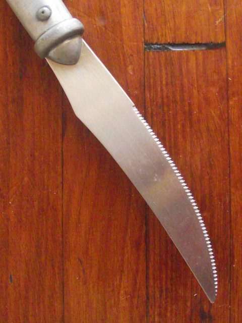 CARROL BOYES STEAK KNIFE-ARIES