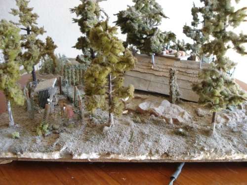 HO SCALE COUNTRY SCENE DIORAMA