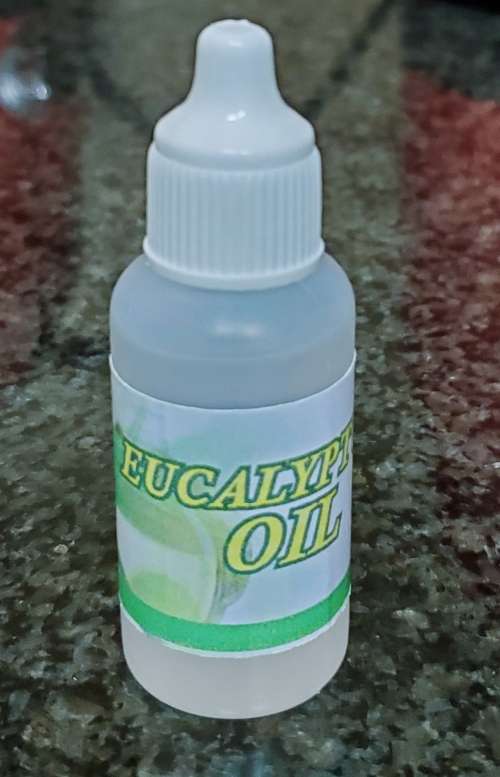 EUCALYPTUS OIL (20ml)