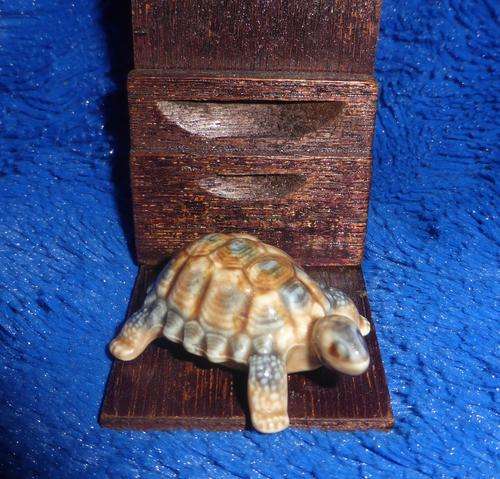 WADE ENGLAND Tortoise
