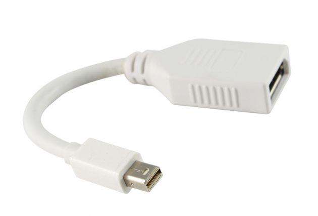 Mini DisplayPort to DisplayPort