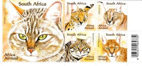 African Wild Cats.  MNH