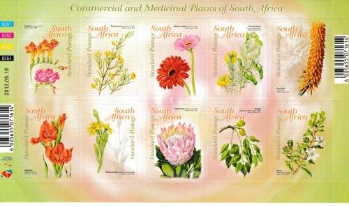 Commercial and Medicinal Plants of SA.   MNH