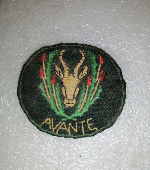 5SAI Cloth Beret Badge