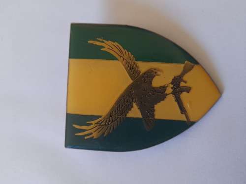 101 Battalion Romeo Mike Coy