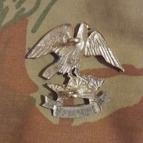 Hay Commando Beret Badge (Scarce)