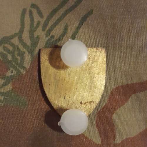 Delmas Commando Beret Badge