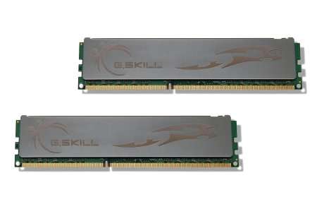 G-Skill Eco 4GB Kit 1600Mhz (2x2GB)