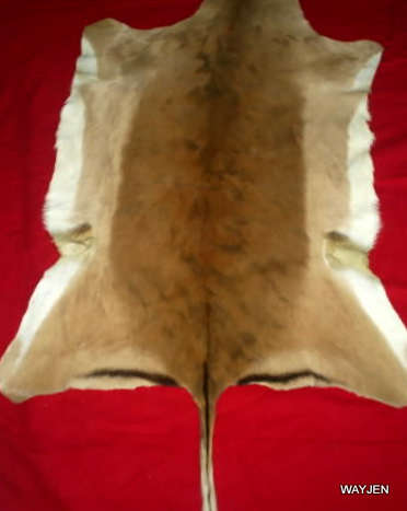 IMPALA SKIN.CERTIFIED TANNED AND CHEMICALLY TREATED TO INTERNATIONAL VETERINARY STANDARD